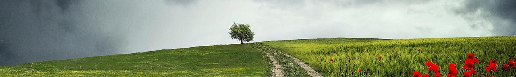 Autorizzazione Integrata Ambientale